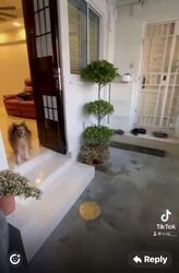 Blk 166 Woodlands Street 13 (Woodlands), HDB 3 Rooms #581357931